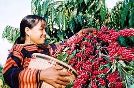 Buon Ma Thuot-ទីក្រុងរបស់កាហ្វេ